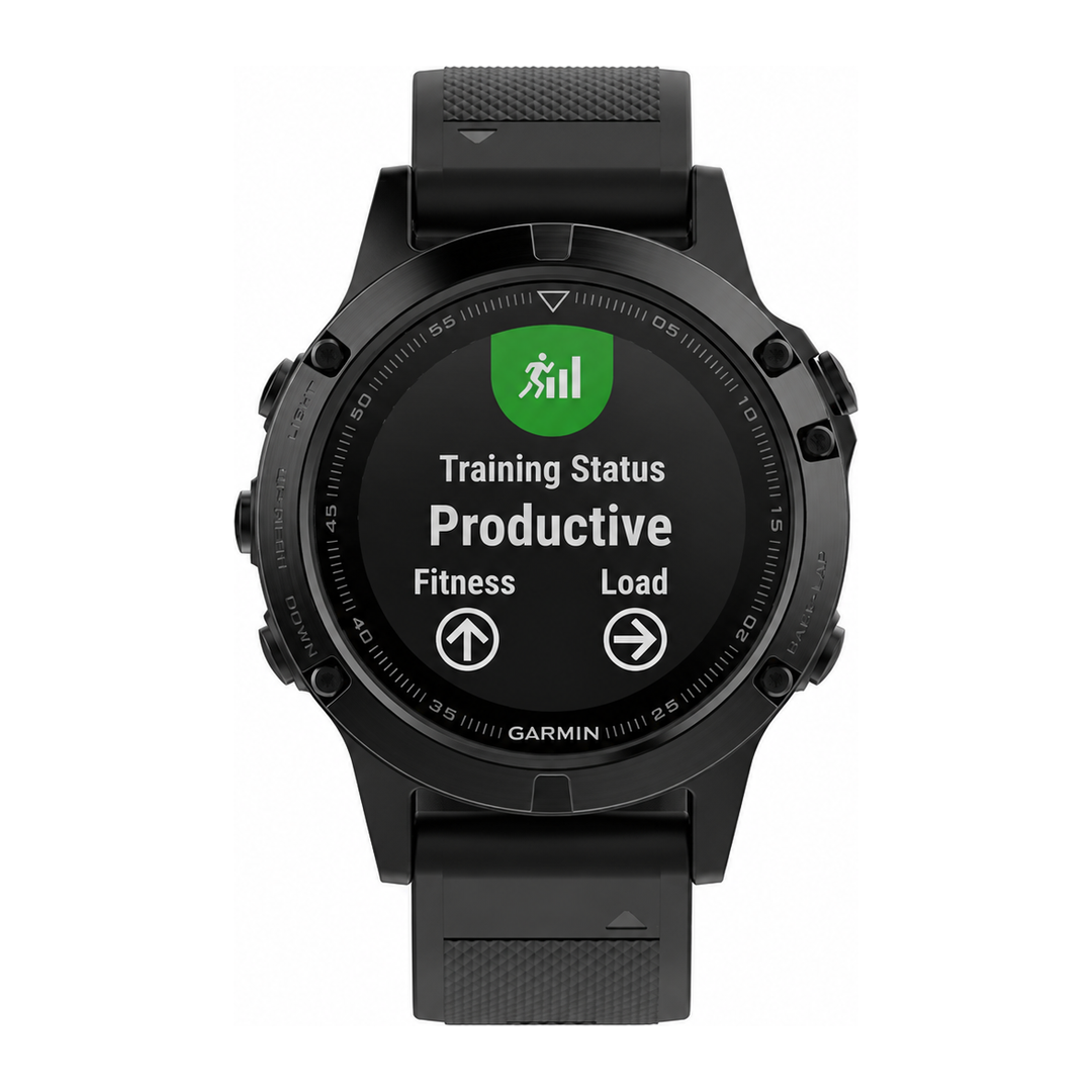 Brugt Garmin Fenix 47mm Sort Som